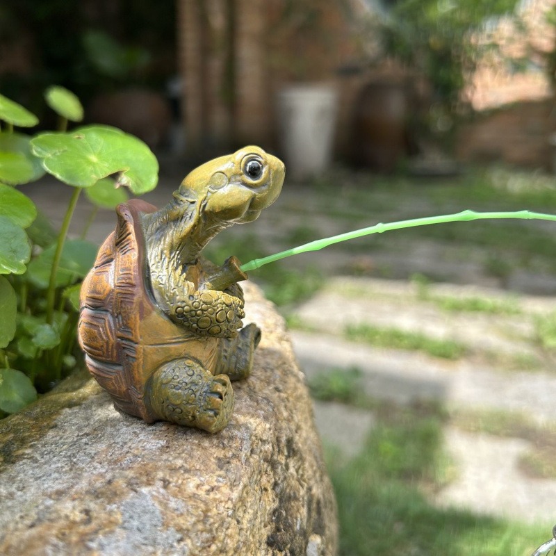 Aquarium Fish Types - Turtle fishing fish tank aquarium decoration