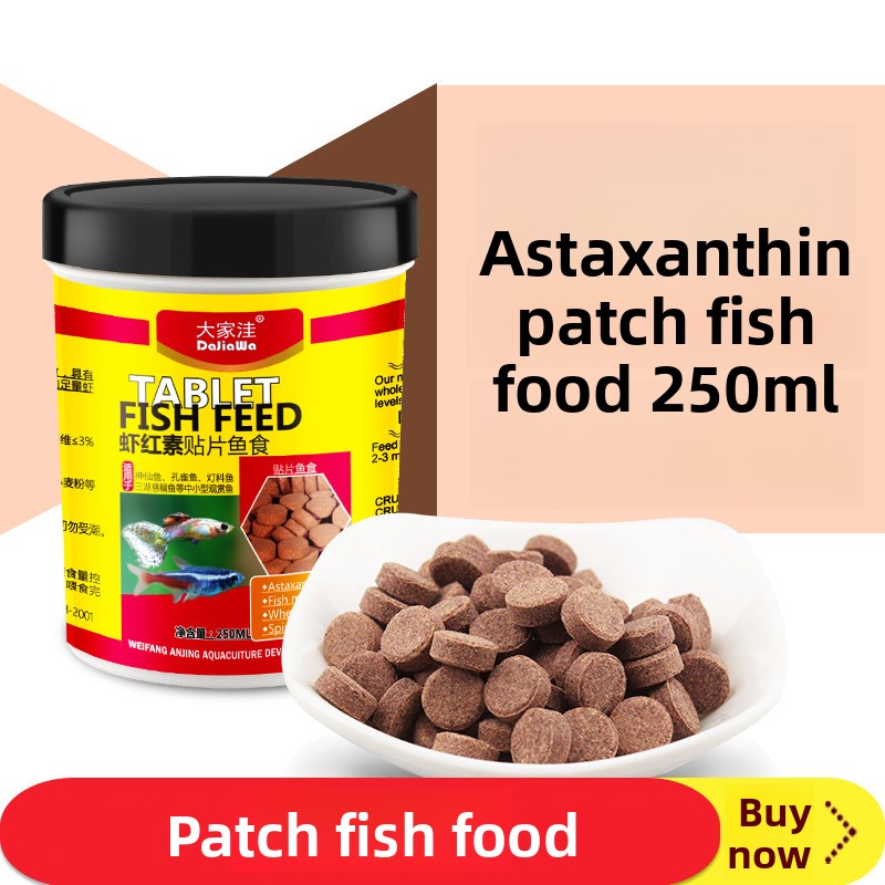 Tetra Fish In Aquarium - DaJiaWa Tropical Fish Feeding Tablet-Slow Dissolving