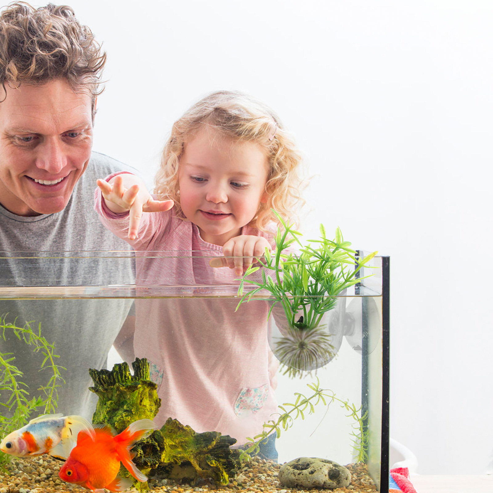 Aquarium Fish Feeder - 4Pcs Fish Tank Acrylic Plant Holder