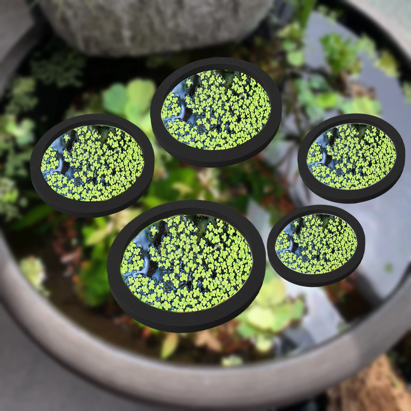 Aquarium Fish Types - 5Pcs EVA Fish Feeding Ring Aquarium