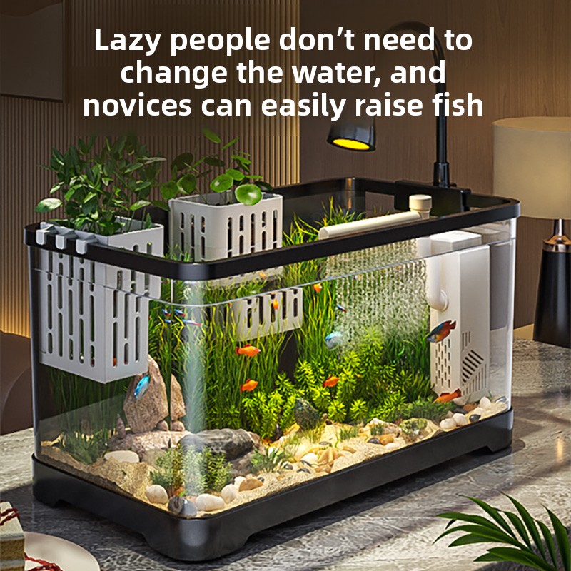 All Fish In Aquarium - 2026 All-in-One Aquarium Filter Oxygen System