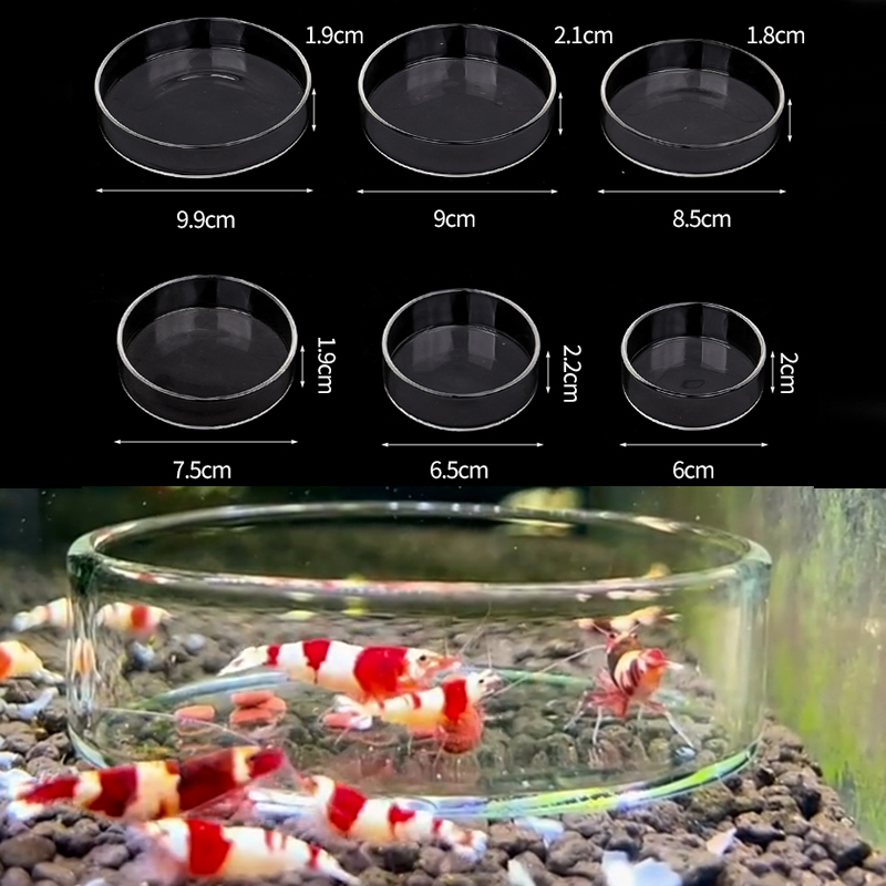 Aquarium Fish Feeder - Shrimp Feeding Dish High Transparent Glass