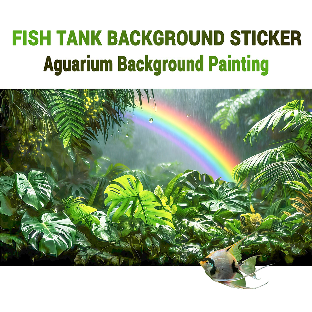Rainforest Rainbow，fish tank b - Aquarium Fish Rainbow recension och pris