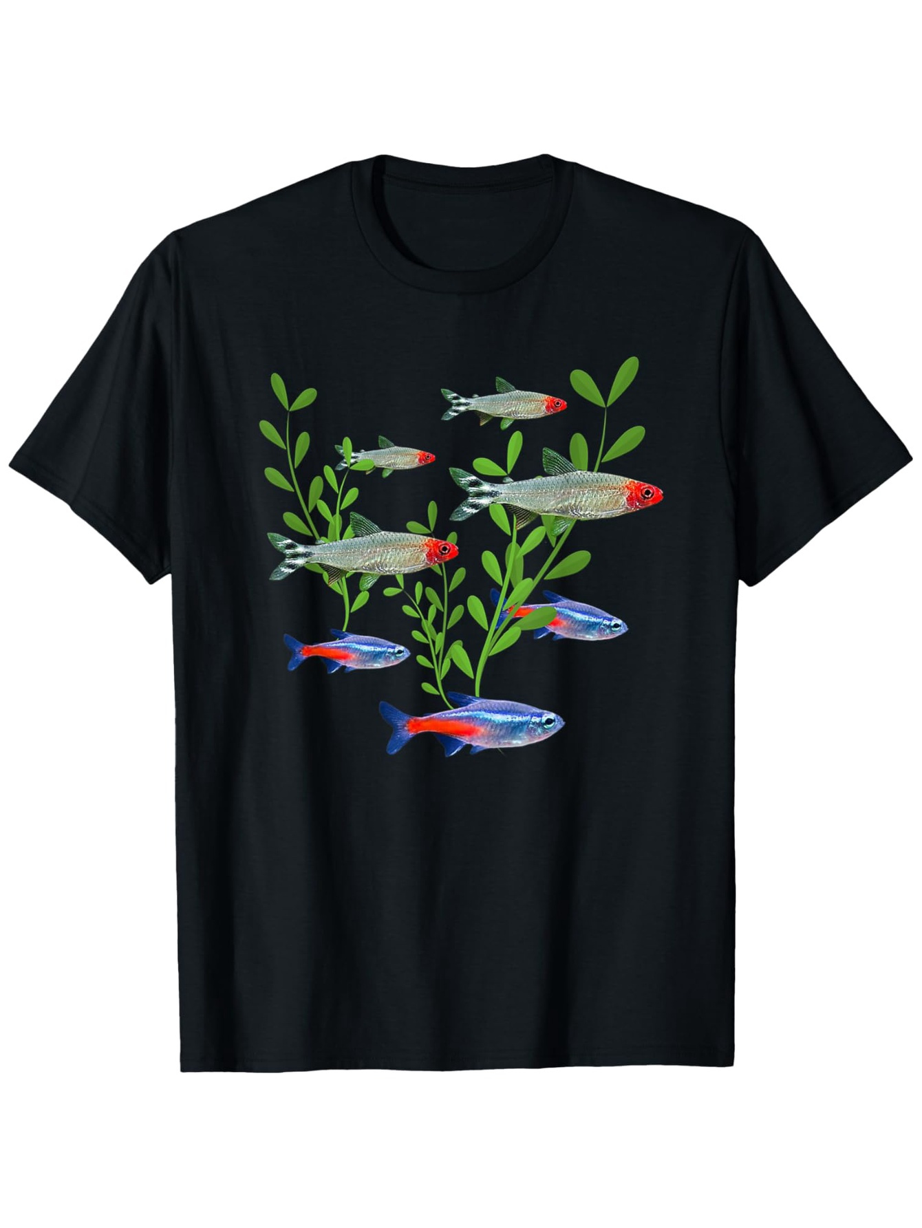 Men's Neon & Rummy Nose Tetras - Tetra Fish In Aquarium recension och pris