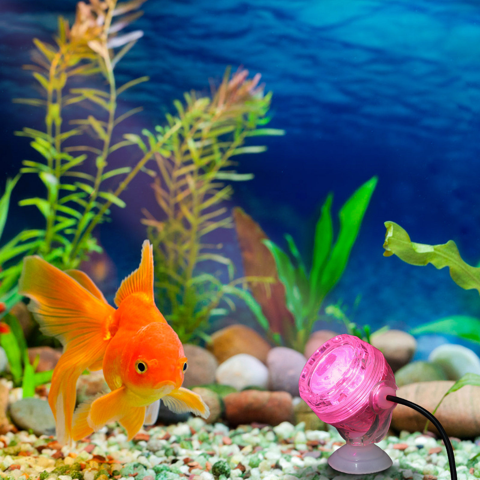 Small LED Aquarium Light Water - Aquarium Fish Rainbow recension och pris