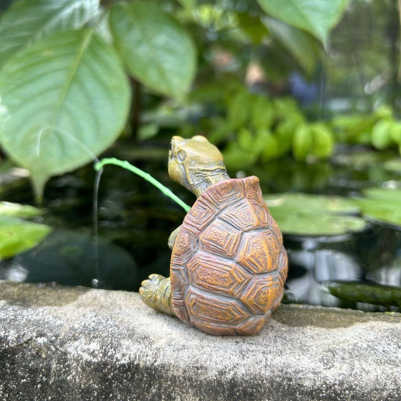 Turtle fishing fish tank aquar - Aquarium Fish Types recension och pris