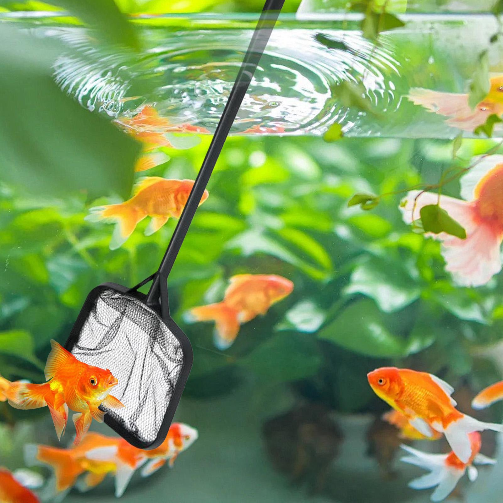 Pool Nets for Cleaning Portabl - Aquarium Fish Tank Cleaner recension och pris