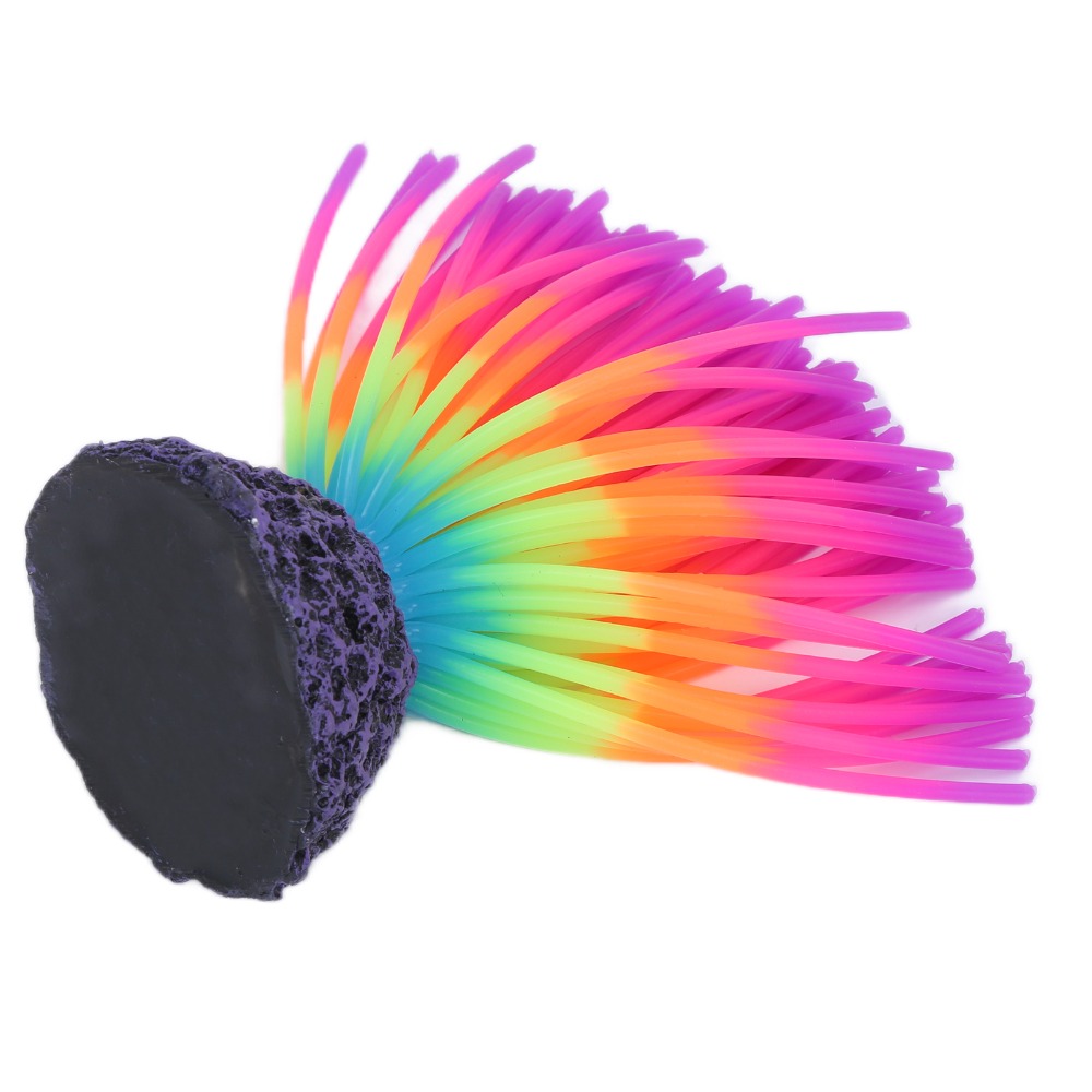 Colorful Aquarium Silicone Cor - Aquarium Fish Rainbow recension och pris