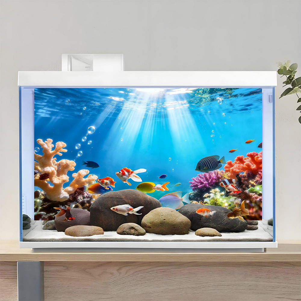 Rainbow-colored corals , fish  - Aquarium Fish Rainbow recension och pris