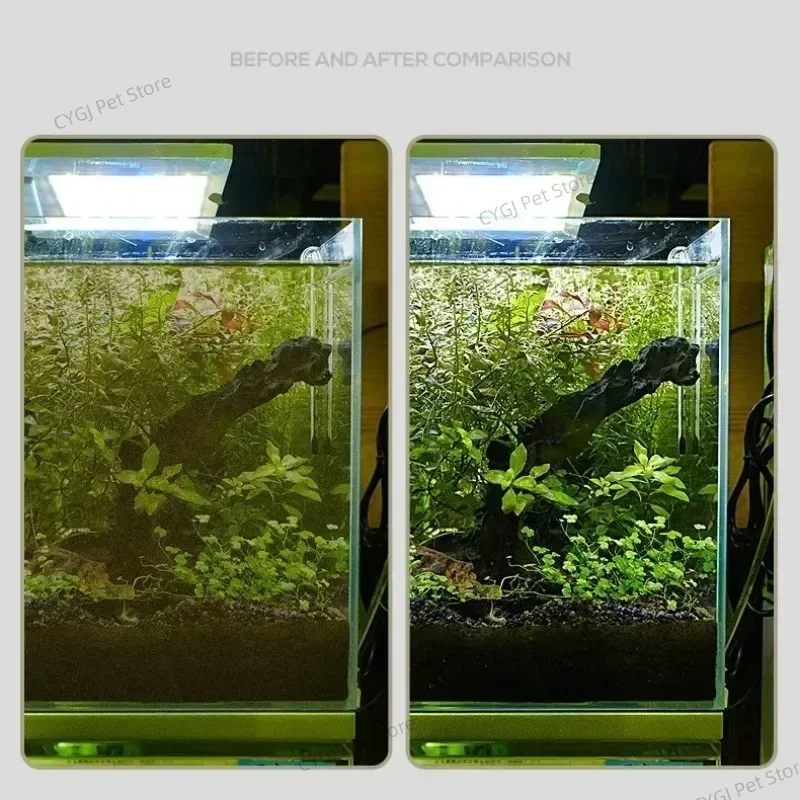 Fish Tank Cleaning Tool Flat S - Aquarium Fish Tank Cleaner recension och pris