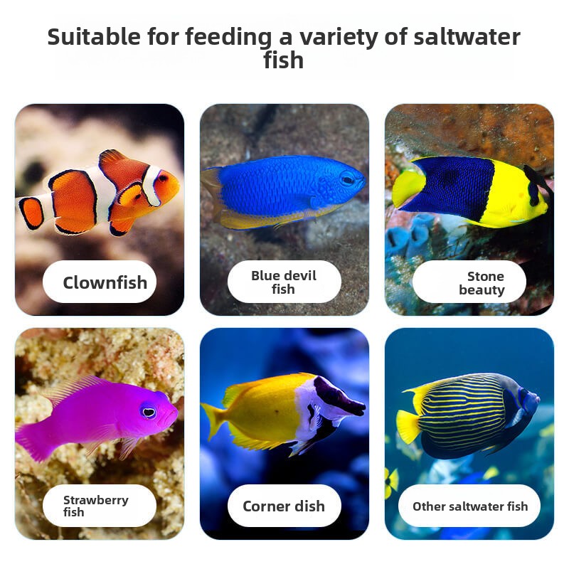 DEERA Clownfish & Tang Food |  - All Fish In Aquarium recension och pris