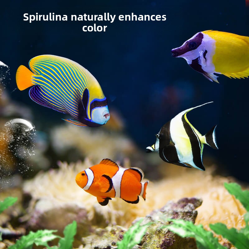 DEERA Clownfish & Tang Food |  - All Fish In Aquarium recension och pris