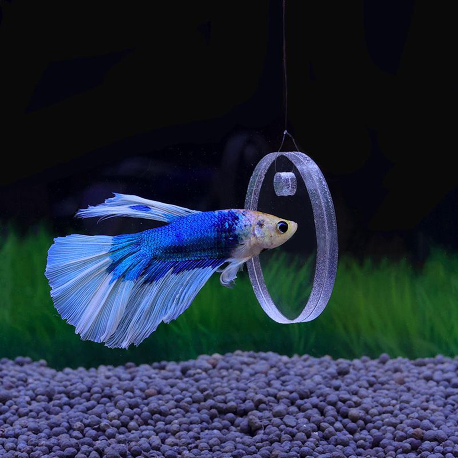 2Pcs Floating Feeding Ring Wit - Aquarium Fish Feeder recension och pris