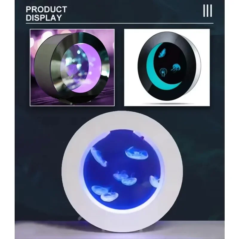 Gold Seller O-shaped Jellyfish - All Fish In Aquarium recension och pris