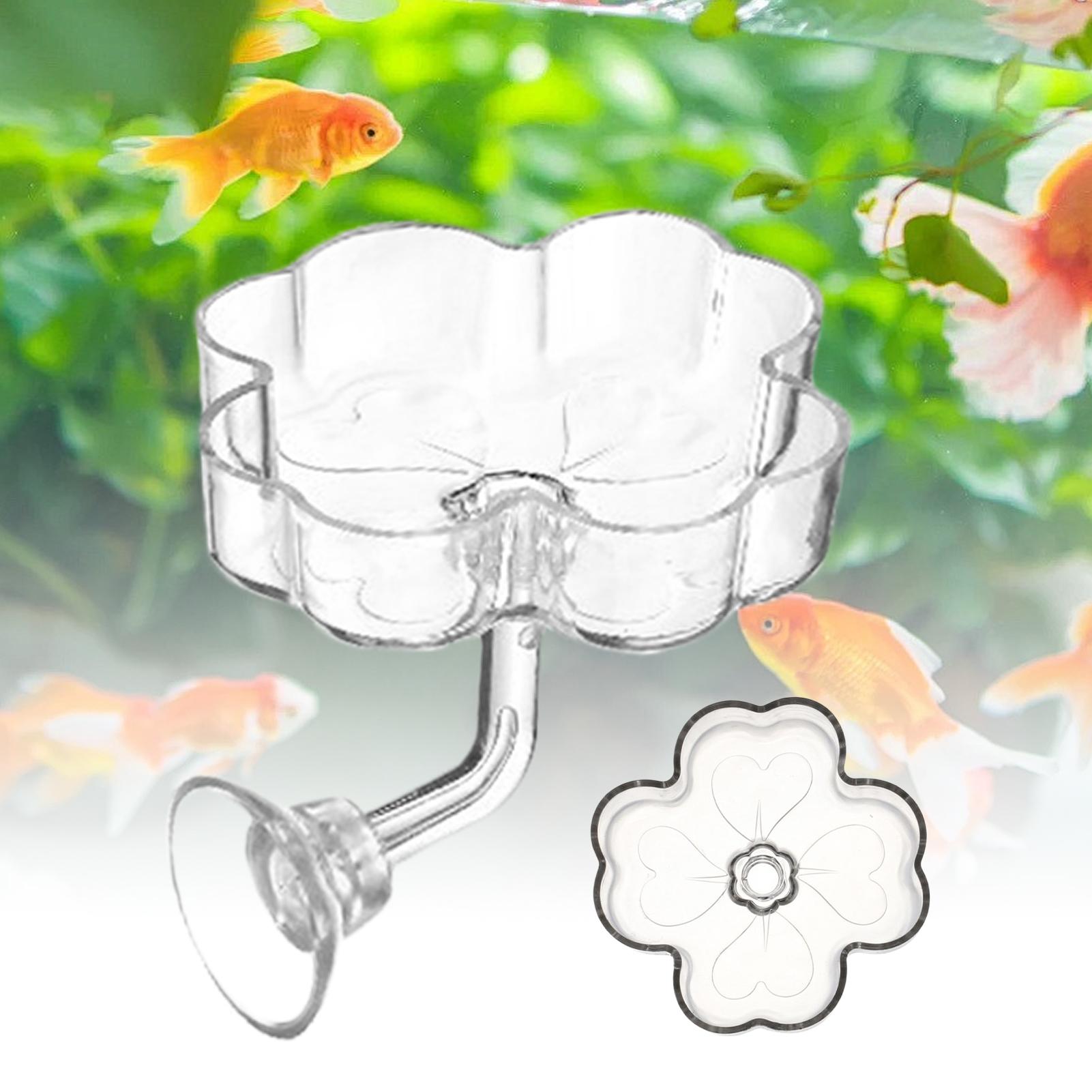 Aquarium Feeder Tray Suction C - Tetra Fish In Aquarium recension och pris
