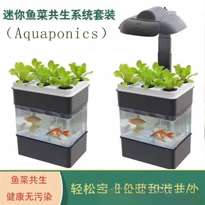 Export fish tank aquarium smal - Aquarium Fish Exporter recension och pris