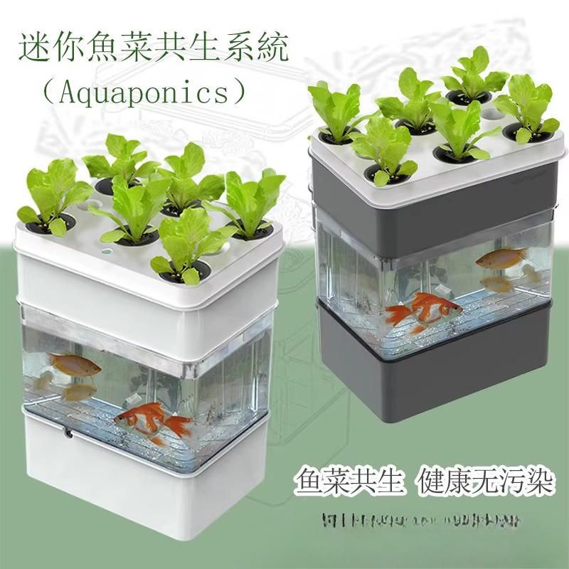 Export fish tank aquarium smal - Aquarium Fish Exporter recension och pris