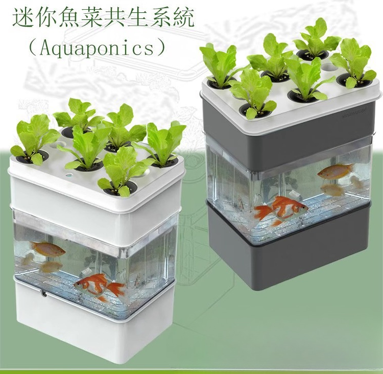 Export fish tank aquarium smal - Aquarium Fish Exporter recension och pris