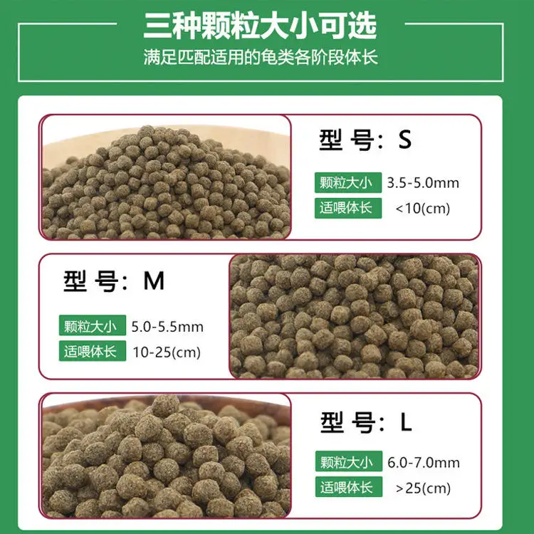 wholesale export high-quality  - Aquarium Fish Exporter recension och pris