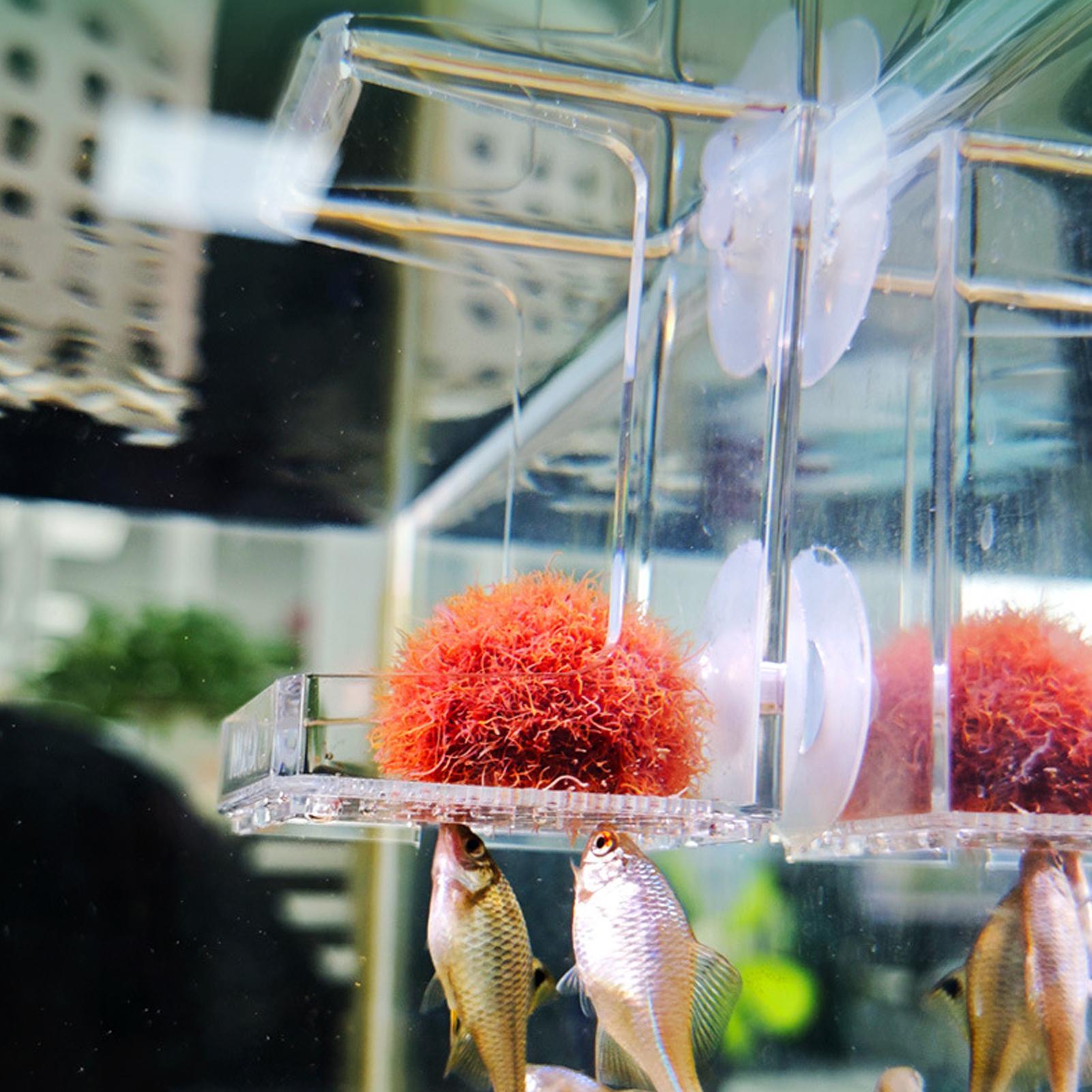 Aquarium Feeder Suction Cup Aq - Tetra Fish In Aquarium recension och pris