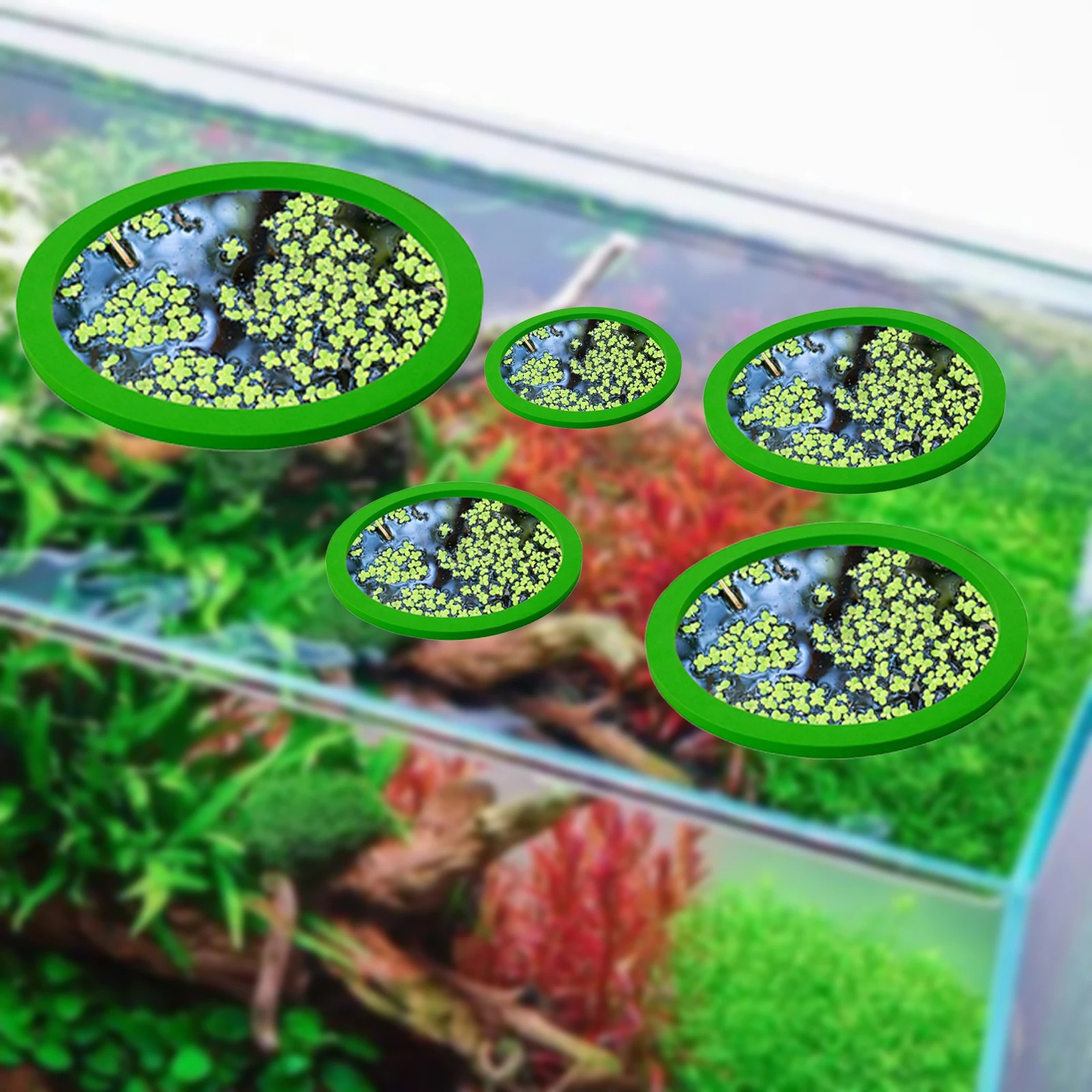 5Pcs EVA Fish Feeding Ring Aqu - Aquarium Fish Types recension och pris