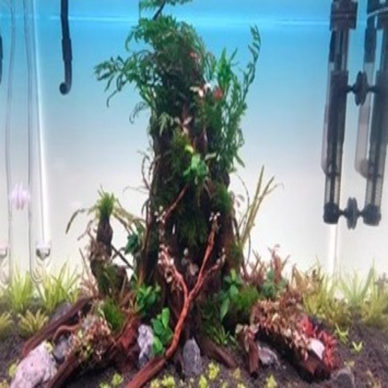 Fish Tank Background Board LED - Aquarium Fish Rainbow recension och pris