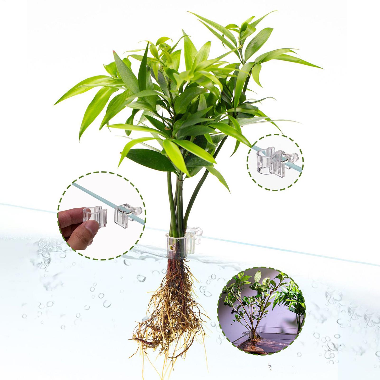 Mini Fish Tank Planter Pot 6Pc - Aquarium Fish Feeder recension och pris