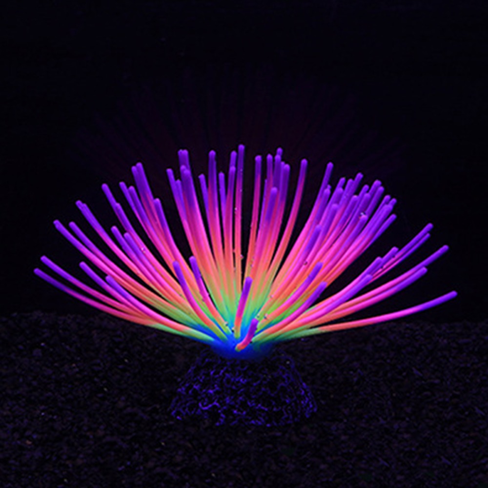 Colorful Aquarium Silicone Cor - Aquarium Fish Rainbow recension och pris
