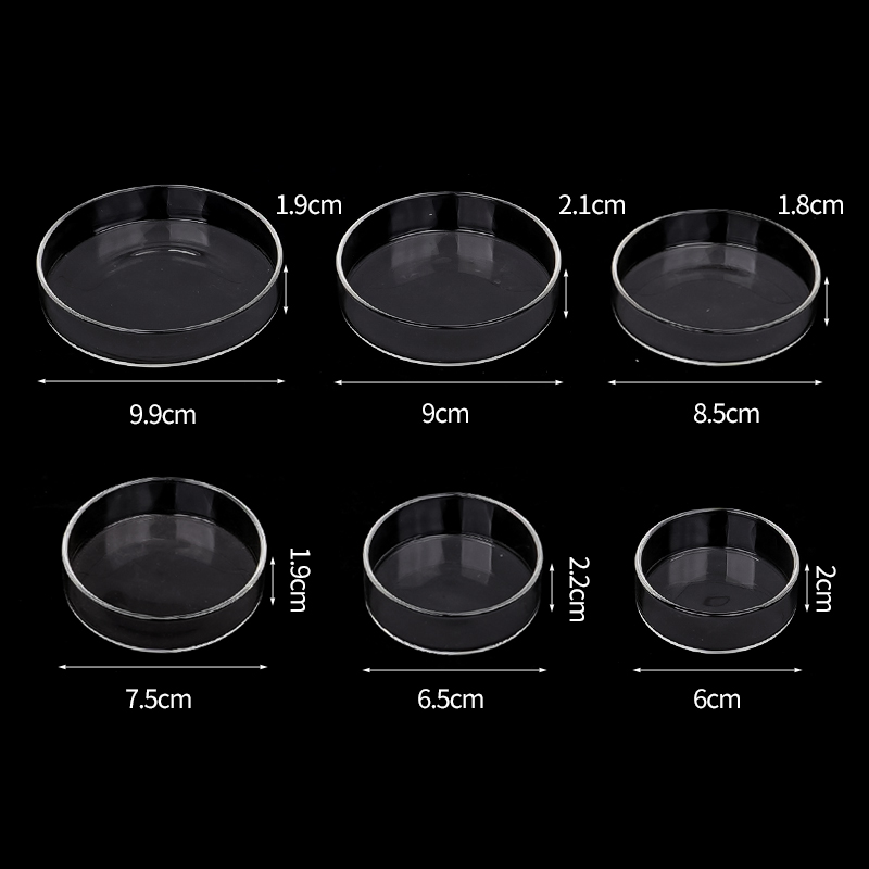 Shrimp Feeding Dish High Trans - Aquarium Fish Feeder recension och pris