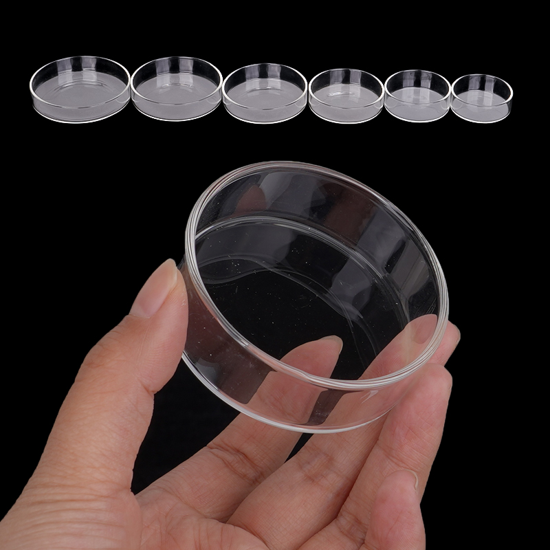 Shrimp Feeding Dish High Trans - Aquarium Fish Feeder recension och pris
