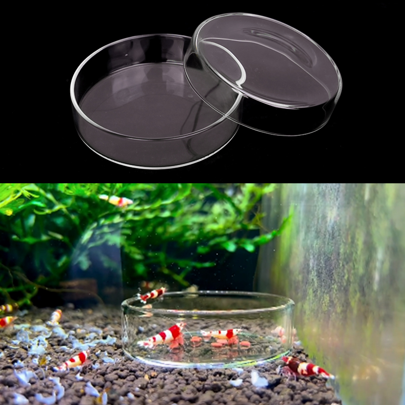 Shrimp Feeding Dish High Trans - Aquarium Fish Feeder recension och pris