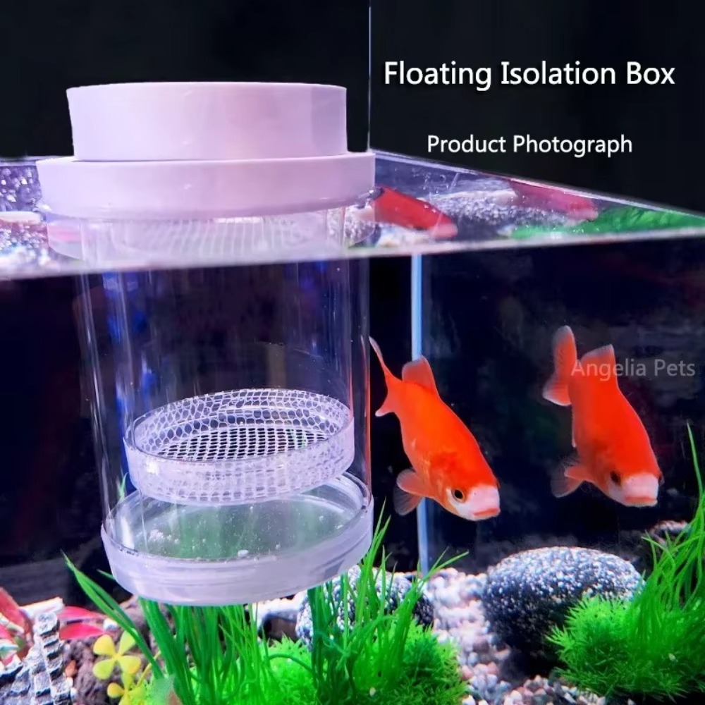 Plastic Floating Fish Breeding - Aquarium Fish Feeder recension och pris