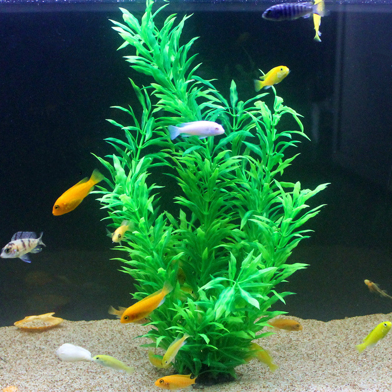 50CM Artificial Fish Tank Rare - Aquarium Fish Types recension och pris