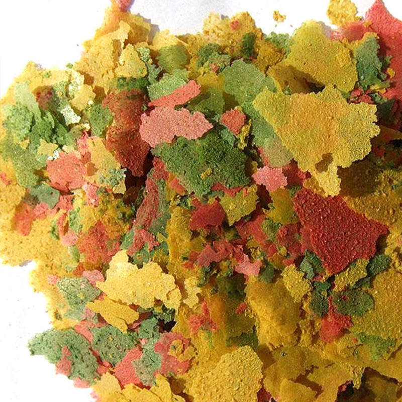 Ornamental Fish Thin Slice Foo - Aquarium Fish Rainbow recension och pris