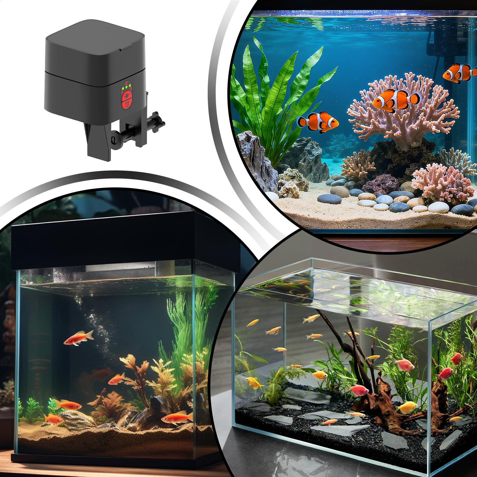 Auto Fish Feeder For Aquarium  - Aquarium Fish Feeder recension och pris