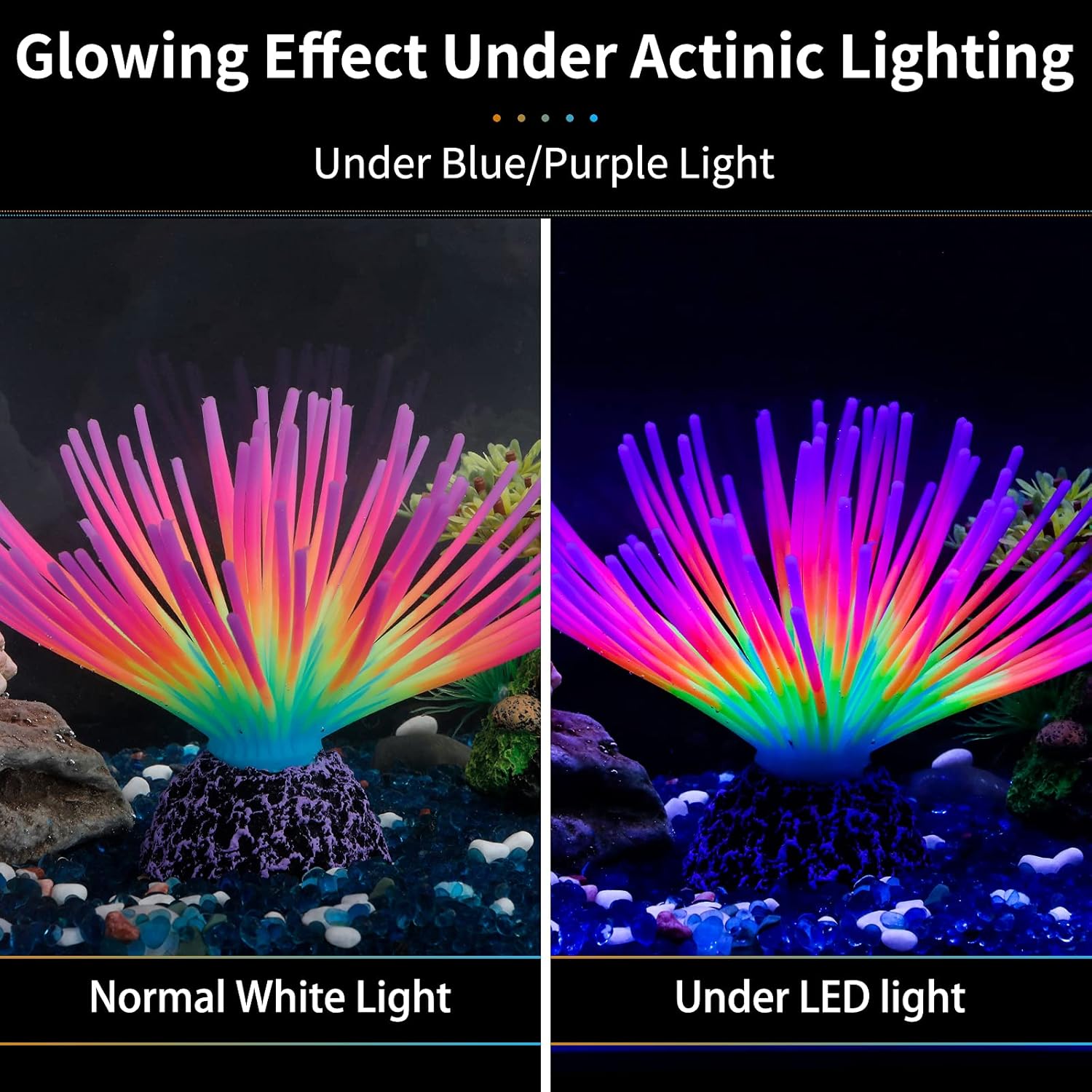 Aquarium Imitative Rainbow Sea - Aquarium Fish Rainbow recension och pris
